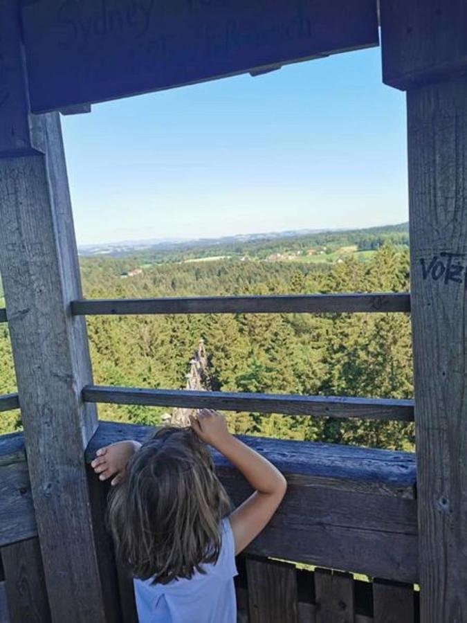 Ferienwohnung Waldblick Hauzenberg Bagian luar foto