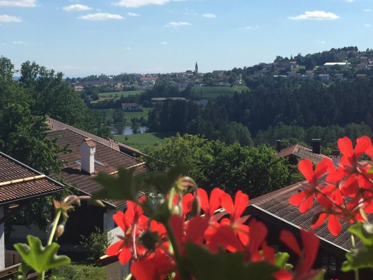 Ferienwohnung Waldblick Hauzenberg Bagian luar foto