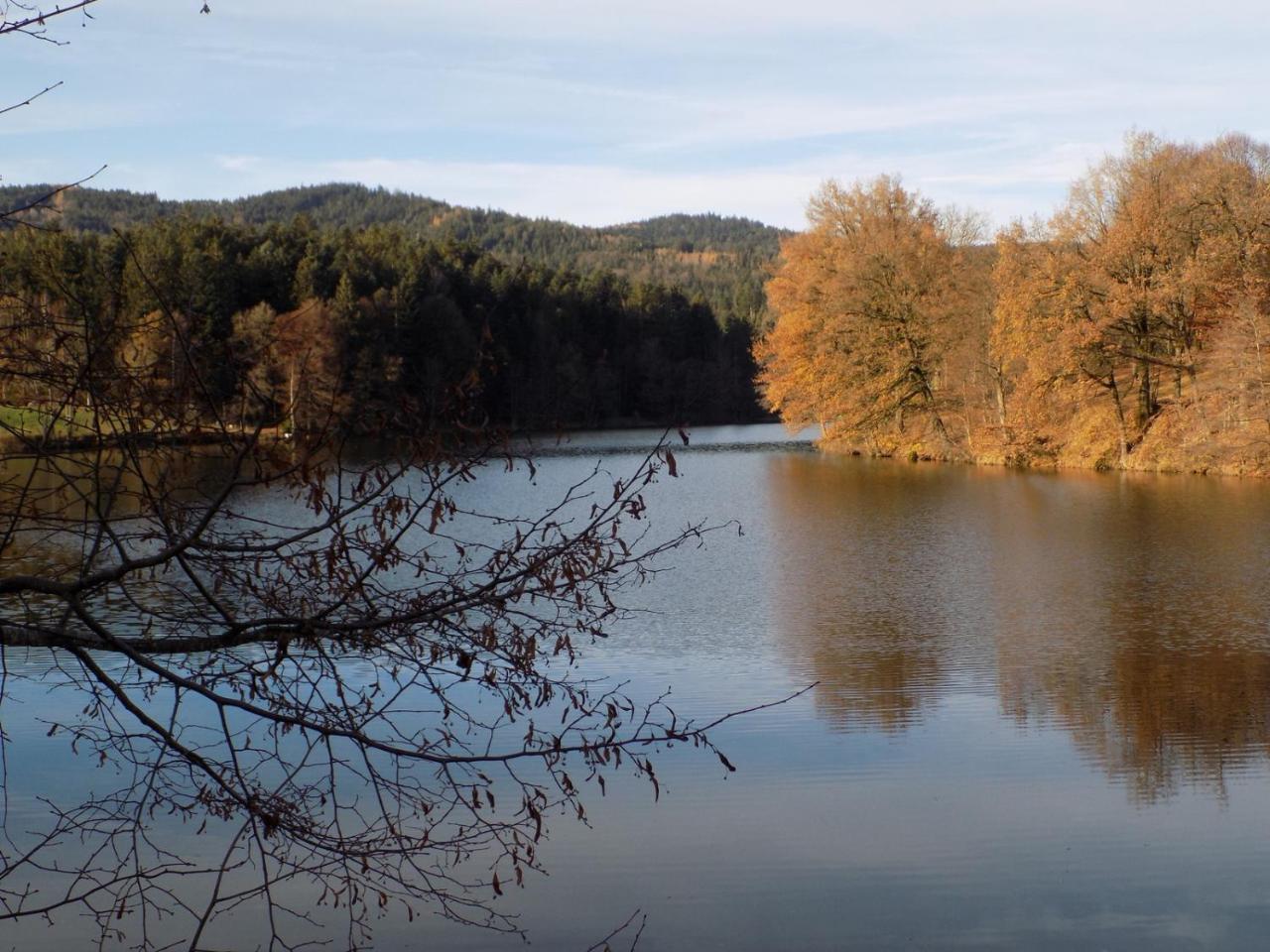Ferienwohnung Waldblick Hauzenberg Bagian luar foto